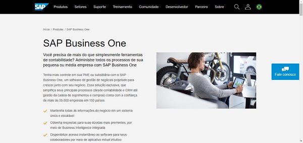 SAP Business One Portal