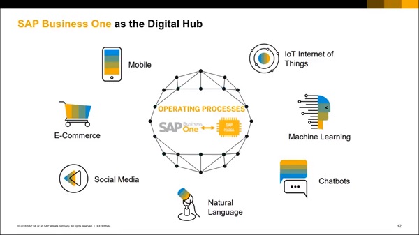 SAP Business One como Hub Digital