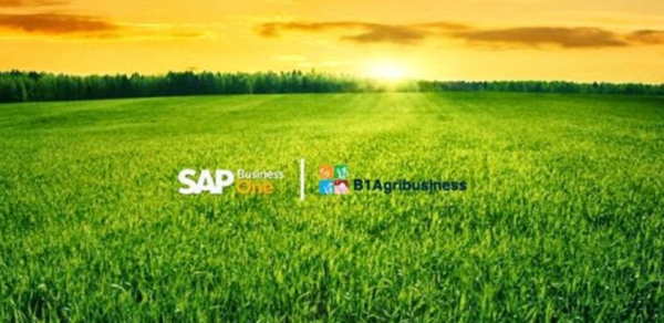 Agronegócio SAP B1