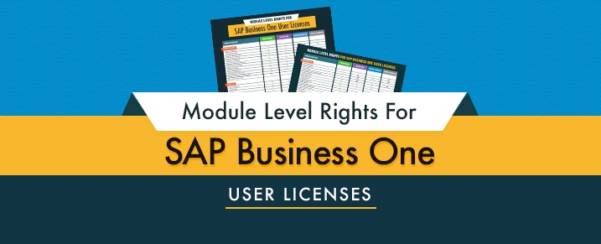 Direitos a licenças de usuário do SAP Business One