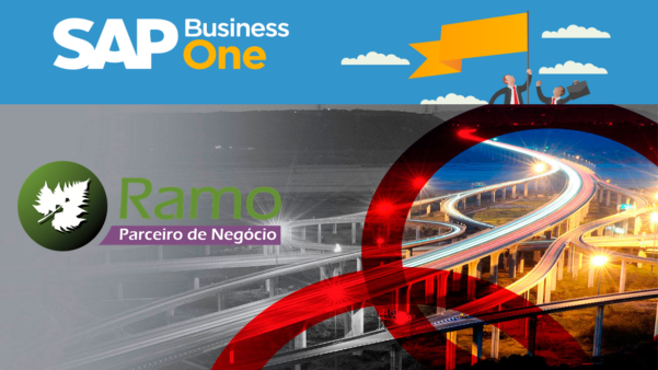 Monte Equity Partners adquiriu SAP B1 como seu software de gestão