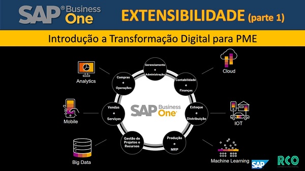 SAP B1 Extensibilidade - Transformação Digital para PME